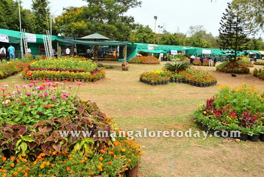 flower show10
